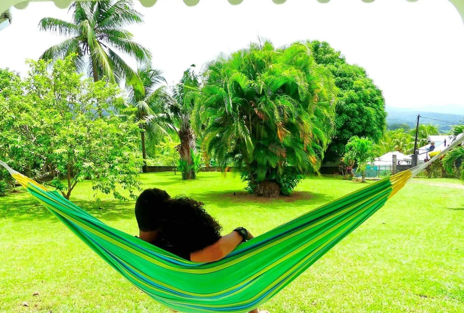Dans Un Coin De Verdure Lamentin