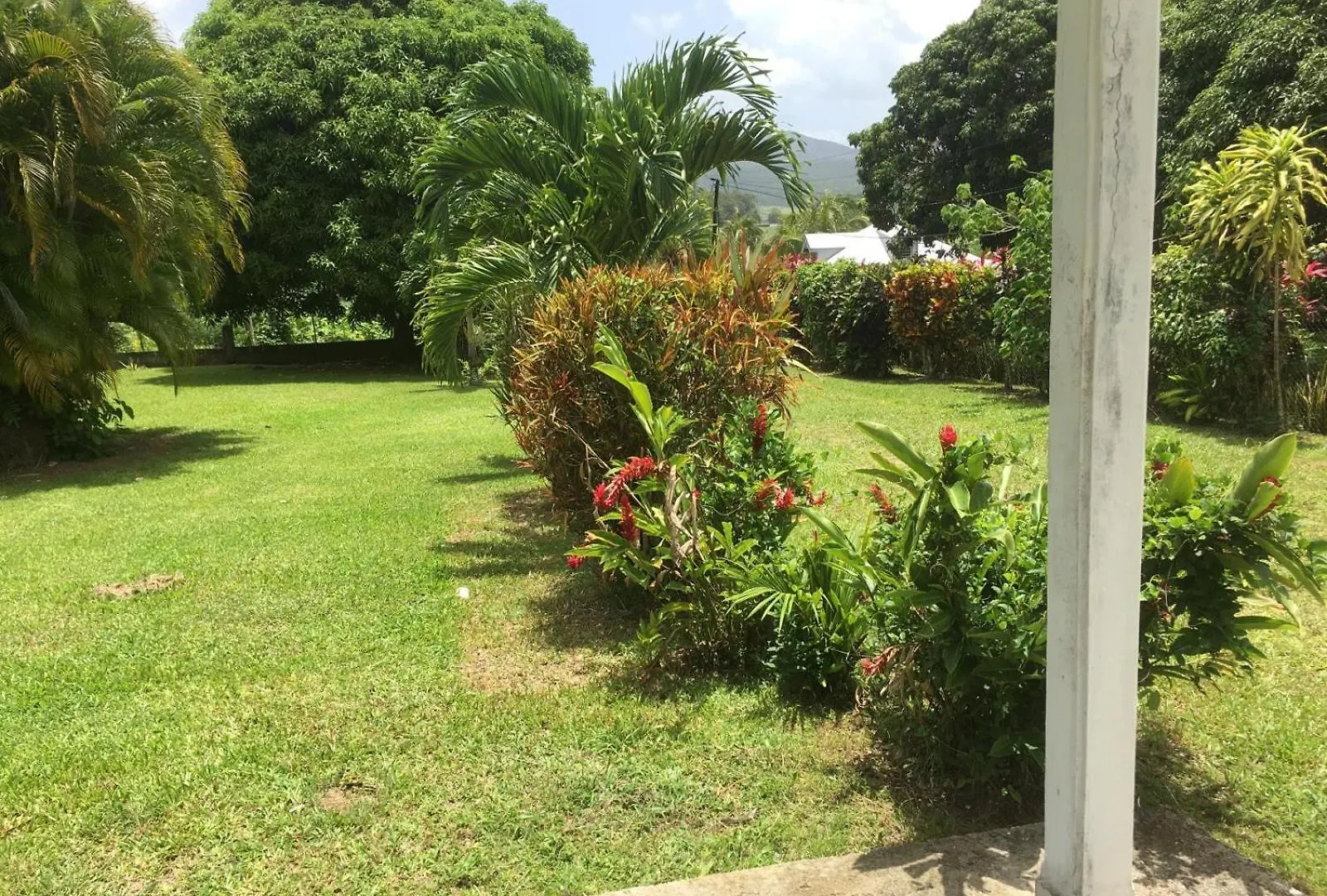 Dans Un Coin De Verdure Lamentin Privat bolig